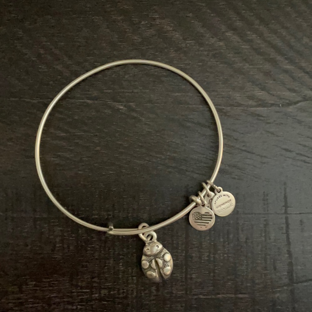 Ladybug Alex & Ani